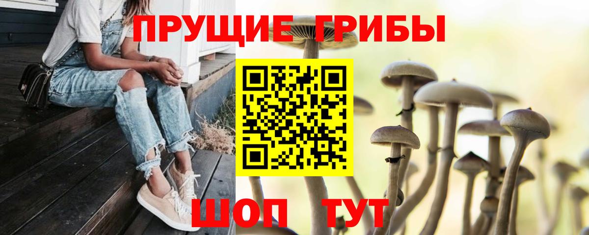 Галлюциногенные грибы Psilocybine cubensis Краснокаменск