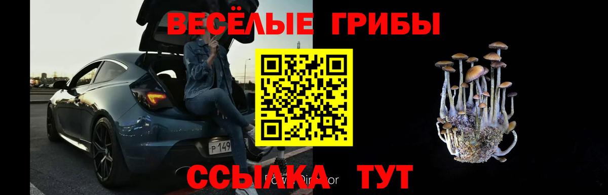 Краснокаменск  Галлюциногенные грибы GOLDEN TEACHER  Вход с VPN 